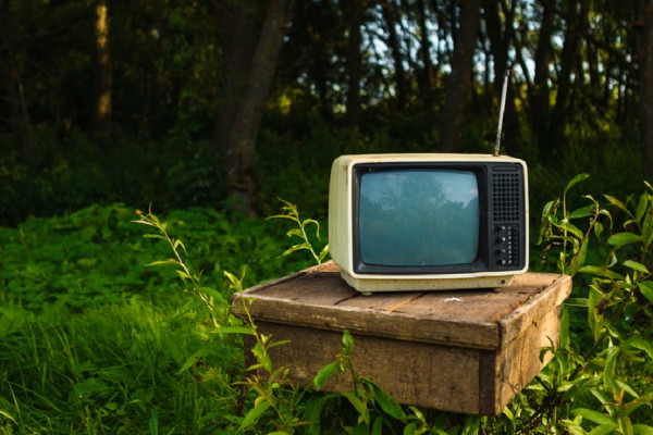 Obrázek novinky 66 % Čechů chce snížení emisí. Co pro to může udělat každý z nás?