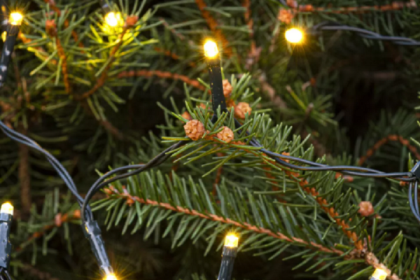 Obrázek novinky Dopřejte si rozzářené Vánoce. LED dekorace jsou úsporné a vydrží mnoho let